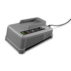 Professional Fast charger Battery Power+ 36/60